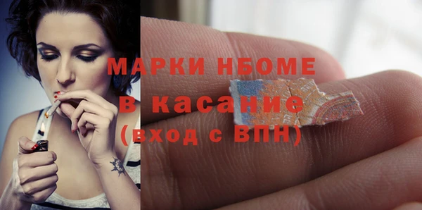 стафф Елизово