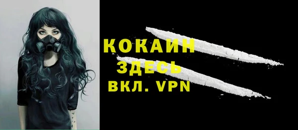 стафф Елизово