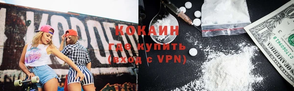 стафф Елизово