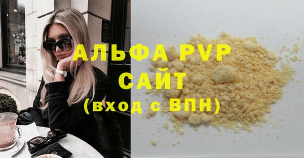 стафф Елизово