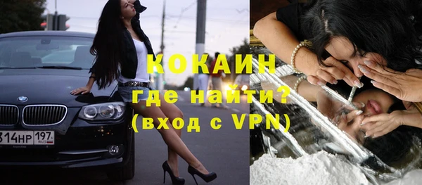стафф Елизово